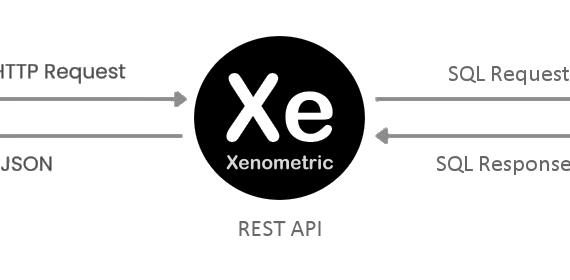Xenometric REST API