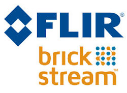 Flir Brickstream